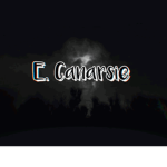 East Canarsie NYPD