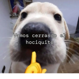 .