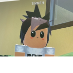 Timm eh s United