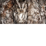 camouflage