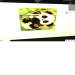 panda panda panda yes