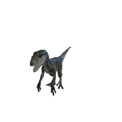 VelociRaptor Blue