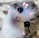 Hello.kitty.is.awesome
