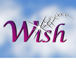 les minis wish