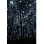 The Stars People