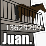 juan2017_prohack
