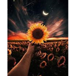 Sunflower Aesthetics (TM)