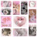 XoxoFelines