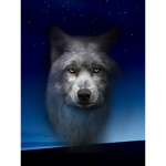 Gamer wolfs united