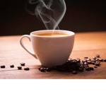 Cream Cafe*