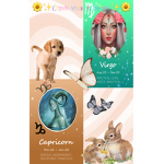 Capricorn X Virgo