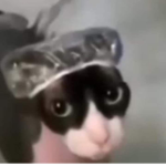 Lost Bunny Developers