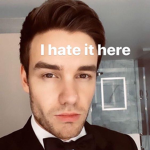 liam payne fan club