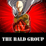 The Bald Group