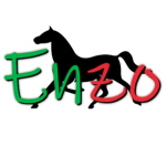 Enzo ®