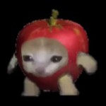 Hello guys welcome to my Minecraft video