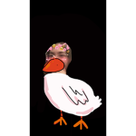The Nailduck Clan