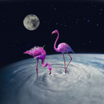 NotNeo's Roblox Group
