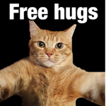 Cookie_Katzenpfote