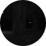 A Disappearance