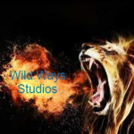 Wild Ways Studios