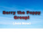 Berry The Puppy