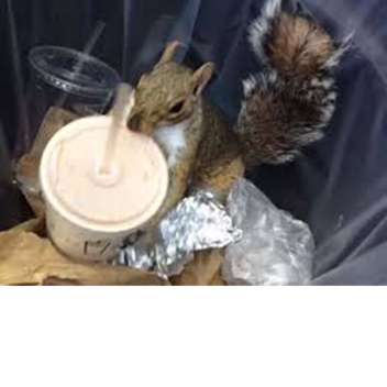 hi let's talk about life