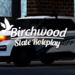 BSRP | Server Enforcement