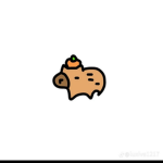 밀솔 스튜디오