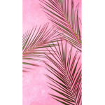 Fun zone-