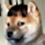 night555