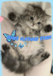 ᴘɪxɪᴇꜱ ᴄʟᴏᴛʜɪɴɢ ꜱᴛᴏʀᴇ