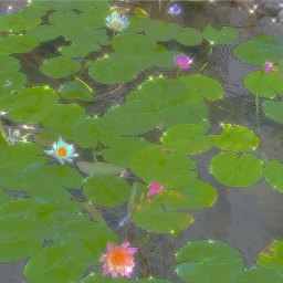 ✧･ﾟ: *✧･ﾟ:*