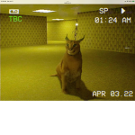 Floppa in the backrooms