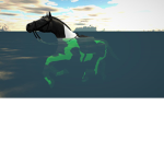 .Drifting Souls Academy.