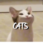 THE C4TS