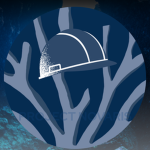 Project Novaris