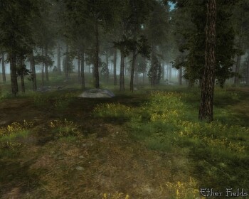 Ether Fields