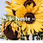~ Neste ~