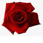 Please my friends
