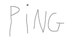 핑 (Ping)