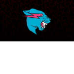 the real Mr beast fan club