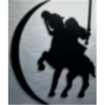 Total War ™