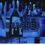 R0ACHE$