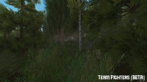 Team Fighters [BETA]