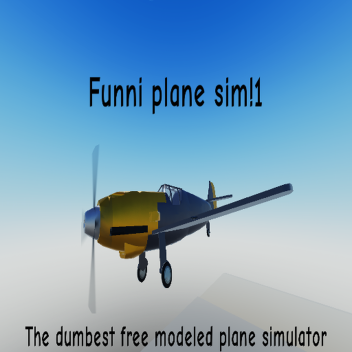 plane sim1!