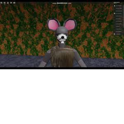 rat gym