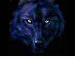 Wolfie