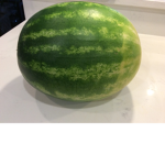 Watermelon forever and ever