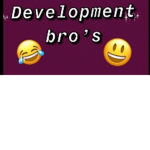 Development Bro's